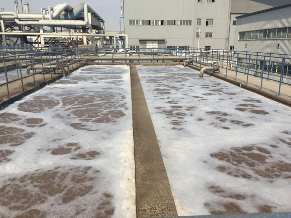 除磷劑是什么藥劑？水里的總磷來自哪里？